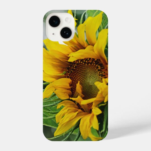 Coque Pour iPhone 14 Tournesol (Verso)