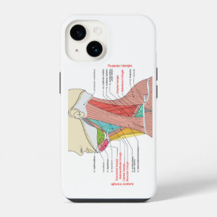 Coque Pour iPhone 14 Triangles antérieurs postérieurs Anatomie du cou M