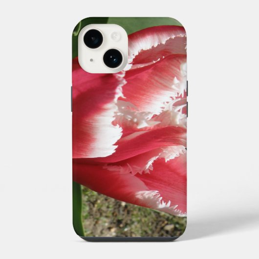 Coque Pour iPhone 14 Tulipe à franges roses (Verso)
