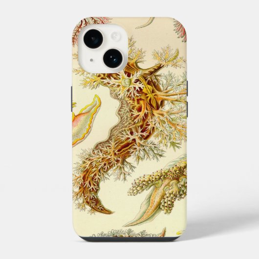 Coque Pour iPhone 14 Vintage Haeckel (Verso)
