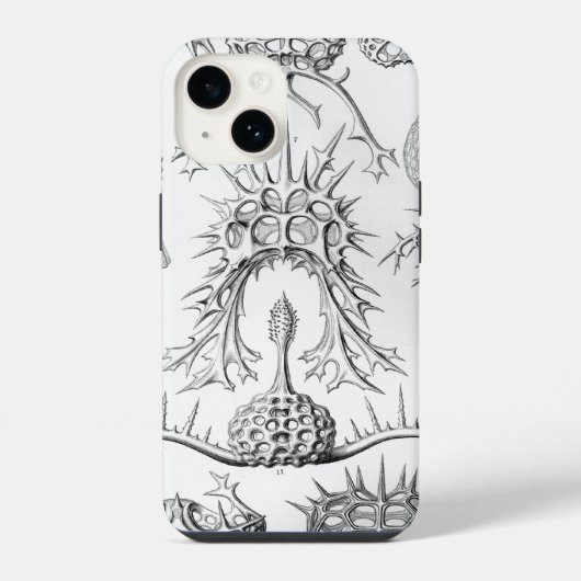 Coque Pour iPhone 14 Vintage Haeckel (Verso)