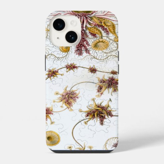 Coque Pour iPhone 14 Vintage Haeckel (Verso)