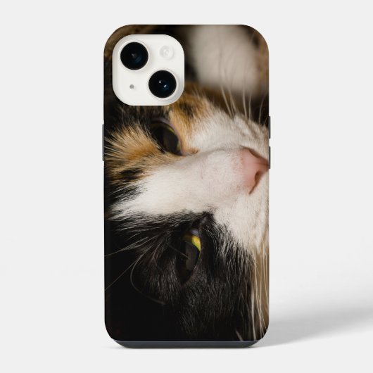 Coque Pour iPhone 14 Visage calicot (Verso)