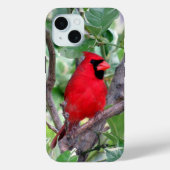 Coque Pour iPhone 15 Cardinal iPhone / coque ipad (Verso)