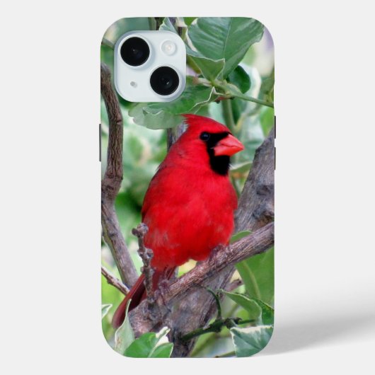 Coque Pour iPhone 15 Cardinal iPhone / coque ipad (Verso)
