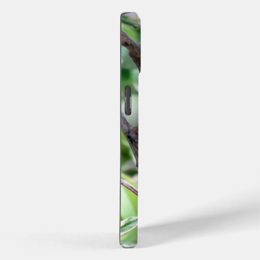 Coque Pour iPhone 15 Cardinal iPhone / coque ipad (Verso / Droite)