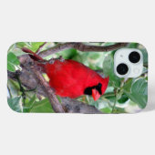 Coque Pour iPhone 15 Cardinal iPhone / coque ipad (Verso (horizontal))
