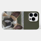 Coque Pour Pour iPhone 14 Pro Max Bouledogue français (Verso Horizontal)