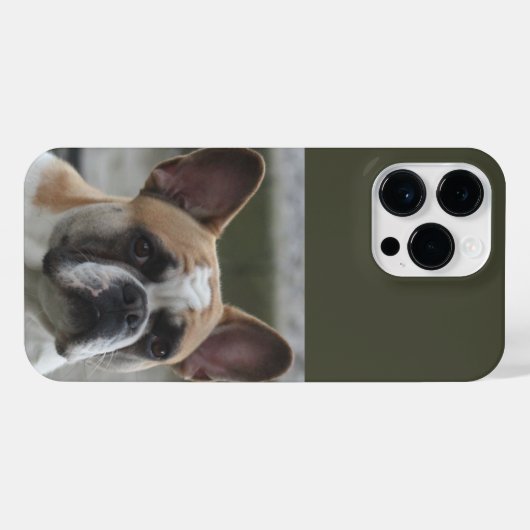 Coque Pour Pour iPhone 14 Pro Max Bouledogue français (Verso Horizontal)