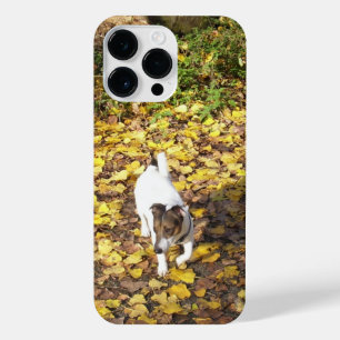 Coque Pour Pour iPhone 14 Pro Max Capo von Oppenheim, Jack Russell Terrier Chien