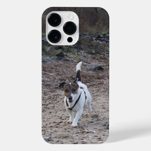 Coque Pour Pour iPhone 14 Pro Max Capo von Oppenheim, Jack Russell Terrier Chien (Verso)
