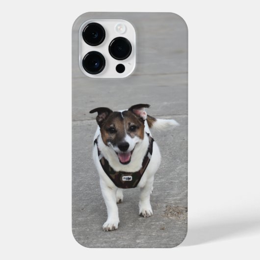 Coque Pour Pour iPhone 14 Pro Max Capo von Oppenheim, Jack Russell Terrier Chien (Verso)