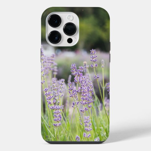 Coque Pour Pour iPhone 14 Pro Max Champ Serene Lavender (Verso)