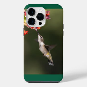 Coque Pour Pour iPhone 14 Pro Max Colibri à gorge rubis