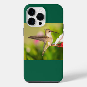 Coque Pour Pour iPhone 14 Pro Max Colibri à gorge rubis