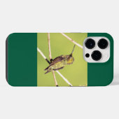 Coque Pour Pour iPhone 14 Pro Max Colibri à gorge rubis (Verso Horizontal)