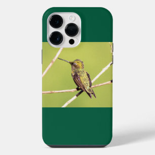 Coque Pour Pour iPhone 14 Pro Max Colibri à gorge rubis