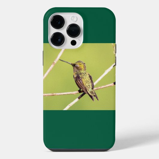 Coque Pour Pour iPhone 14 Pro Max Colibri à gorge rubis (Verso)