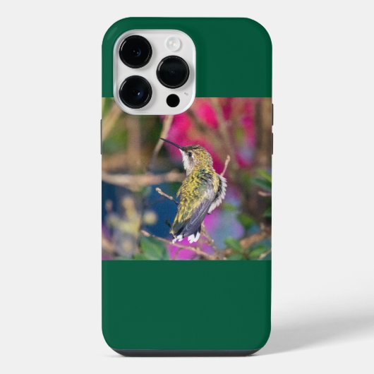 Coque Pour Pour iPhone 14 Pro Max Colibri à gorge rubis (Verso)