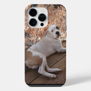 Coque Pour Pour iPhone 14 Pro Max Coque iPhone Chien de terrasse Pitbull