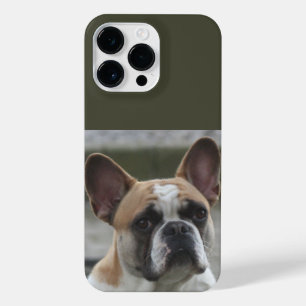 Coque Pour Pour iPhone 14 Pro Max Französische Bulldogge