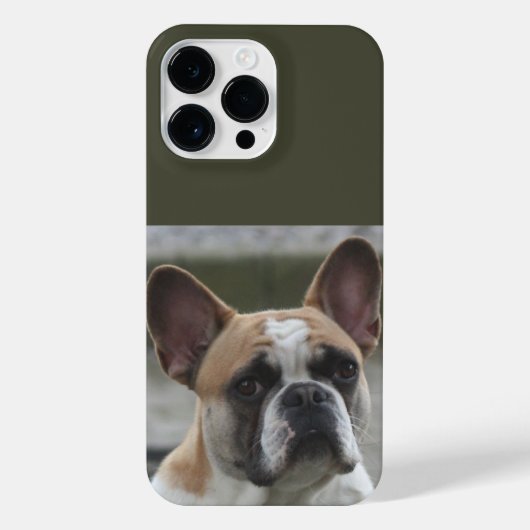 Coque Pour Pour iPhone 14 Pro Max Französische Bulldogge (Verso)