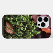 Coque Pour Pour iPhone 14 Pro Max mousse (Verso Horizontal)
