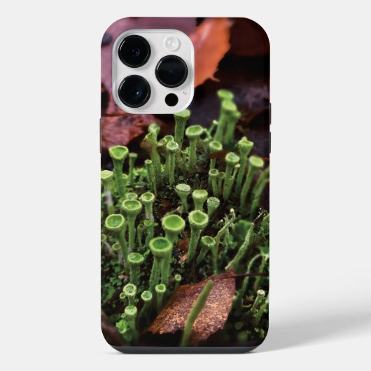 Coque Pour Pour iPhone 14 Pro Max mousse (Verso)