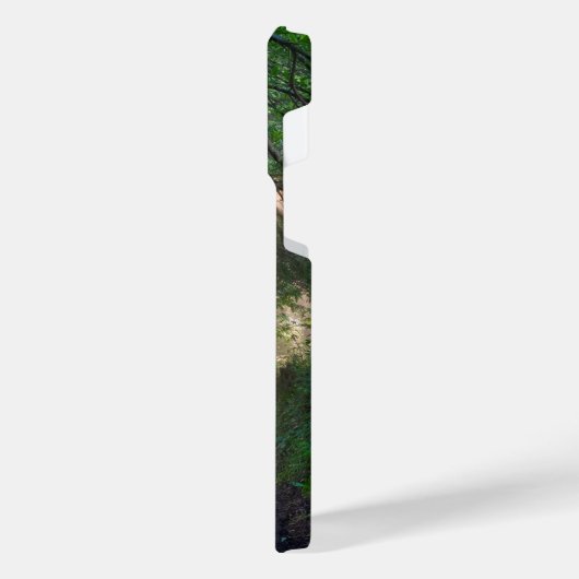 Coque Pour Pour iPhone 14 Pro Max sentier forestier (Côté gauche)