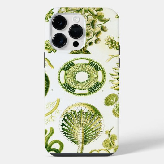 Coque Pour Pour iPhone 14 Pro Max Vintage Haeckel (Verso)