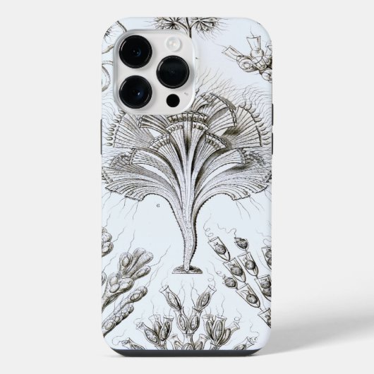 Coque Pour Pour iPhone 14 Pro Max Vintage Haeckel (Verso)