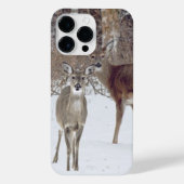 Coque Pour Pour iPhone 14 Pro Max Whitetail Deer (Verso)