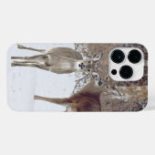 Coque Pour Pour iPhone 14 Pro Max Whitetail Deer (Verso Horizontal)