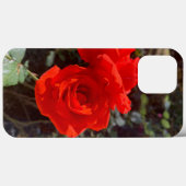 Coque Red Rose iPhone 13 Pro Max (Verso (horizontal))