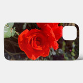 Coque rouge rose iPhone 13 (Verso (horizontal))