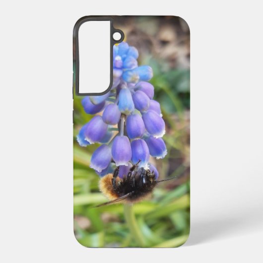 Coque Samsung Galaxy Abeille sur Muscari Armeniacum, Grape Hyacinth (Verso)