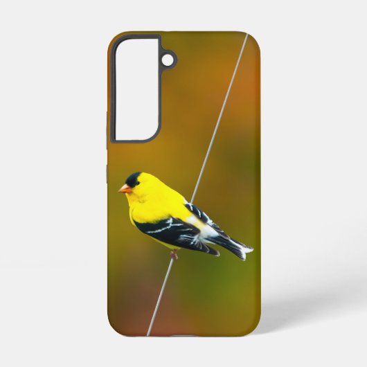Coque Samsung Galaxy American Goldfinch - Photo originale (Verso)