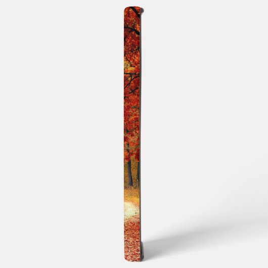 Coque Samsung Galaxy automne dans la forêt (Côté gauche)