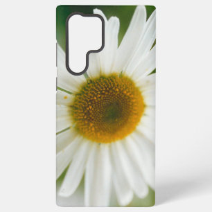 Coque Samsung Galaxy Basière oculaire blanche - Leucanthemum vulgare