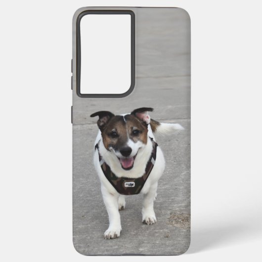 Coque Samsung Galaxy Capo von Oppenheim, Jack Russell Terrier Chien (Verso)