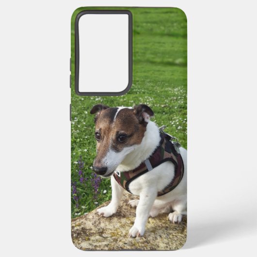Coque Samsung Galaxy Capo von Oppenheim Jack Russell Terrier, Chien (Verso)