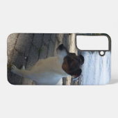 Coque Samsung Galaxy Capo von Oppenheim, Jack Russell Terrier Chien (Verso Horizontal)