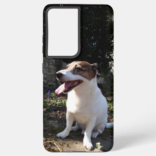 Coque Samsung Galaxy Capo von Oppenheim Jack Russell Terrier, Chien (Verso)