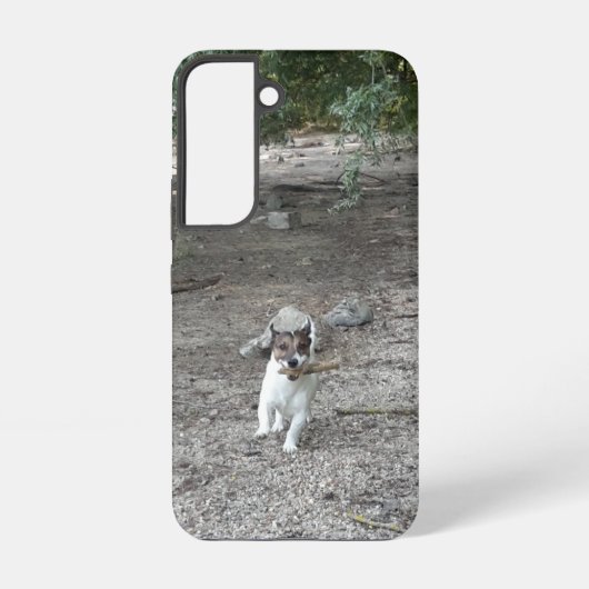 Coque Samsung Galaxy Capo von Oppenheim, Jack Russell Terrier Chien (Verso)