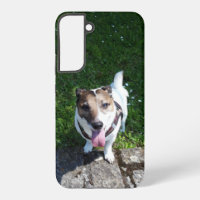 Capo von Oppenheim, Jack Russell Terrier Chien