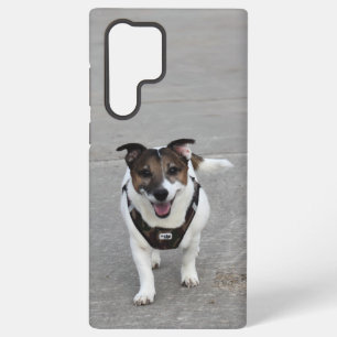 Coque Samsung Galaxy Capo von Oppenheim, Jack Russell Terrier Chien