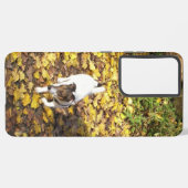 Coque Samsung Galaxy Capo von Oppenheim, Jack Russell Terrier Chien (Verso Horizontal)