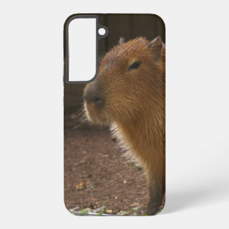 Coque Samsung Galaxy Capybara
