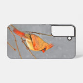 Coque Samsung Galaxy Cardinal sur une branche - Peinture originale d'oi (Verso Horizontal)