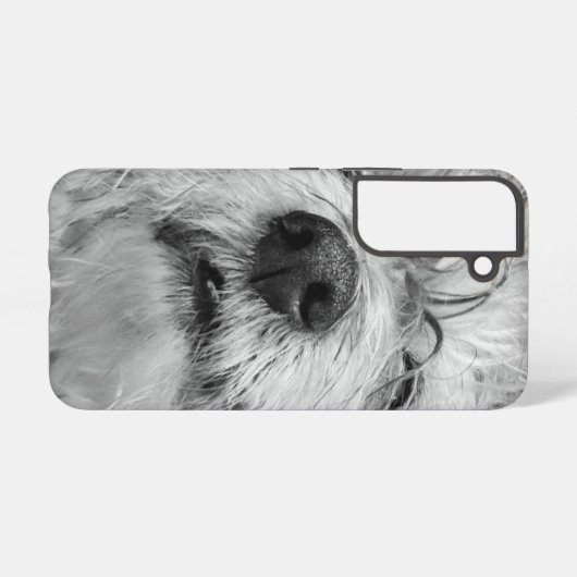 Coque Samsung Galaxy Chien de Coton de Tulear (Verso Horizontal)